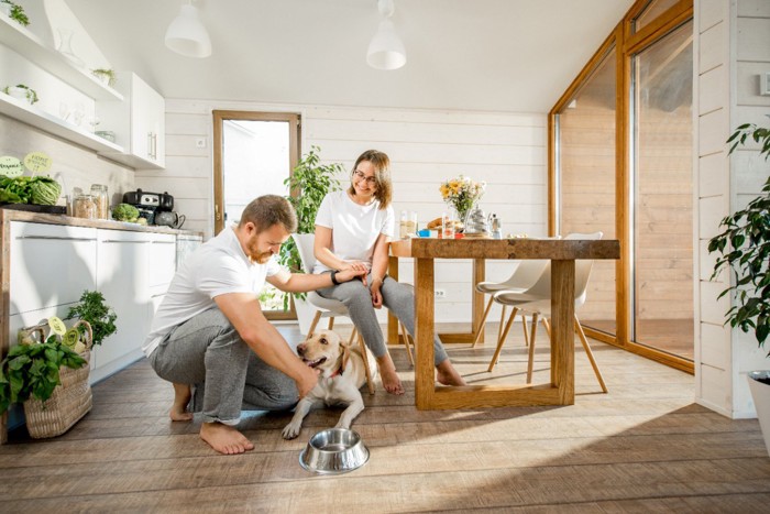 部屋で過ごすカップルと犬