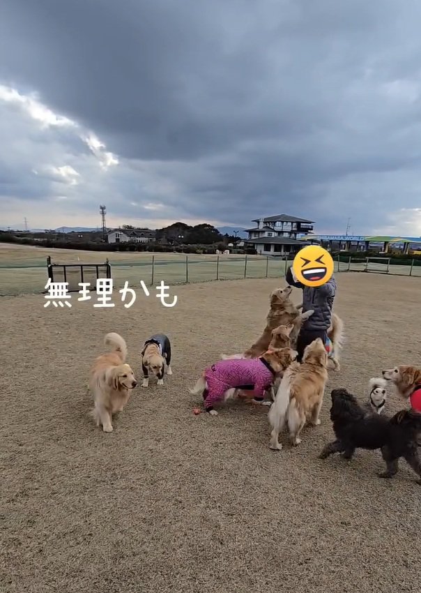 無理だと思ったにこちゃん