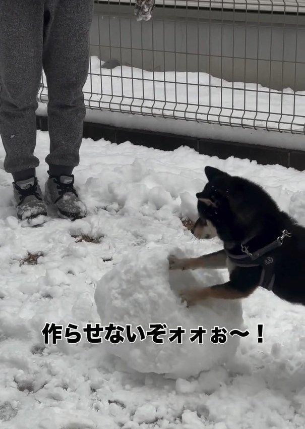雪だるまが作れないママ