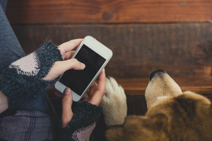 犬の隣でスマホを操作する女性