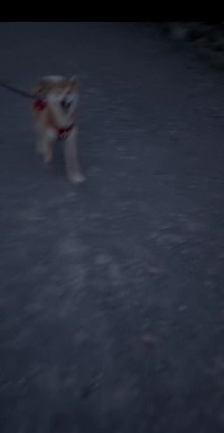 「おまたせ！」