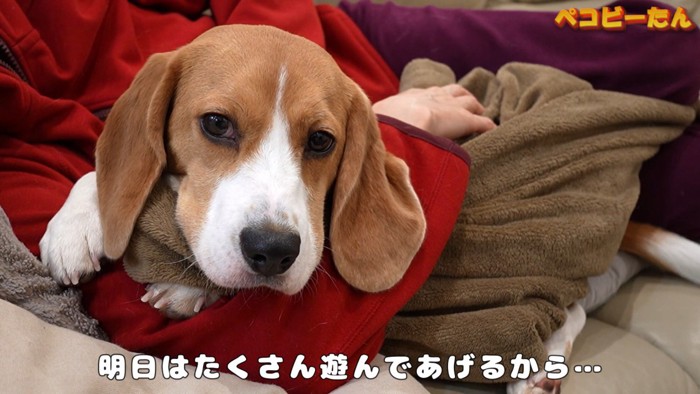 待ちくたびれて拗ねてしまいました…