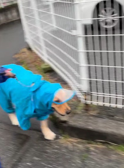 次男くんと一緒なら平気！！