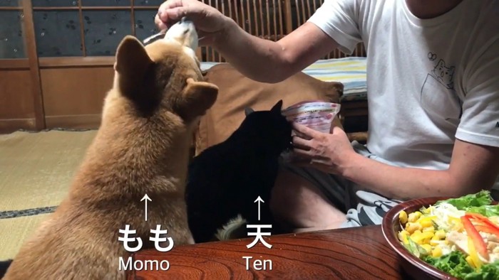 おやつをゲット!