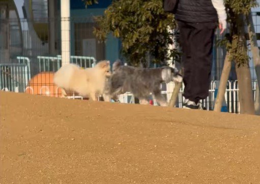 人にぶつかりそう…！