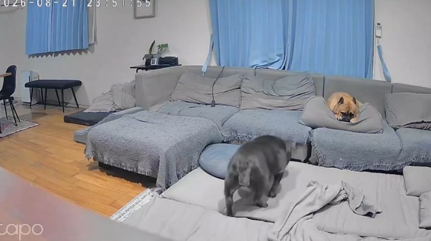 ラブちゃんの元へ