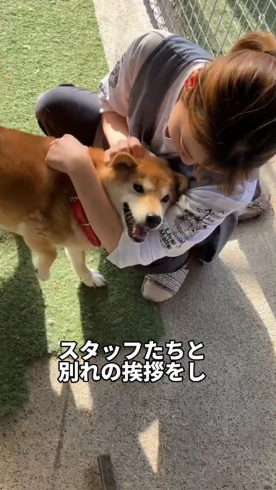 女性に撫でられて笑顔の犬