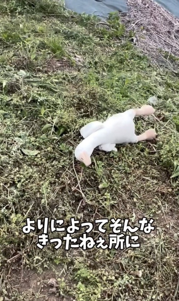 無残…