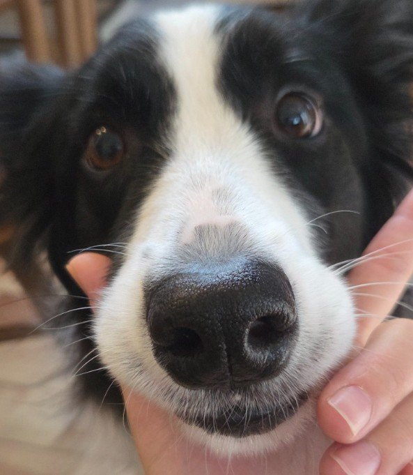 優しくて気が利く性格
