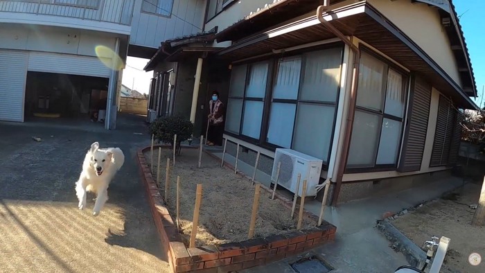 おばあちゃんの登場に大喜び