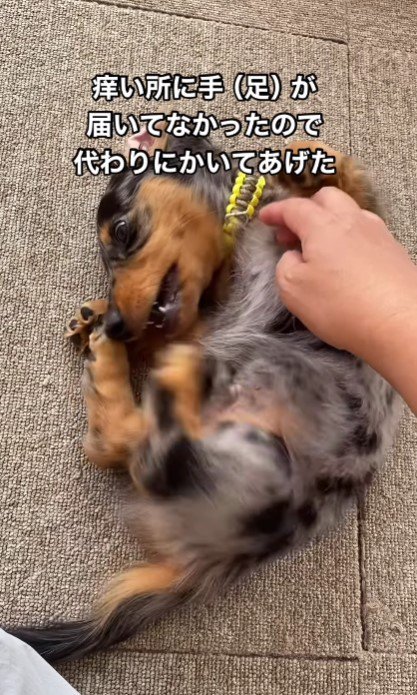 足の動きを速めたら…