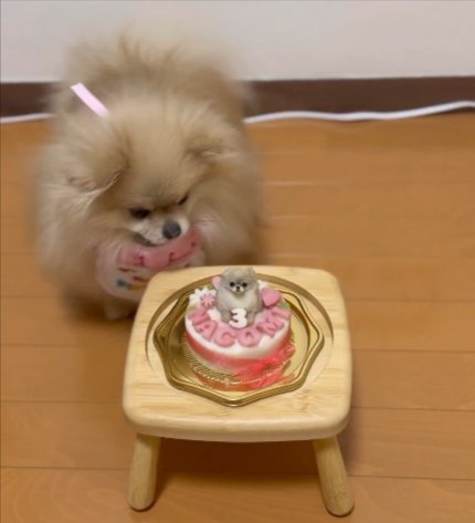 立ち上がり