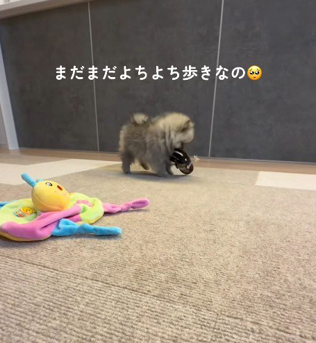 やんちゃ盛りだけど…