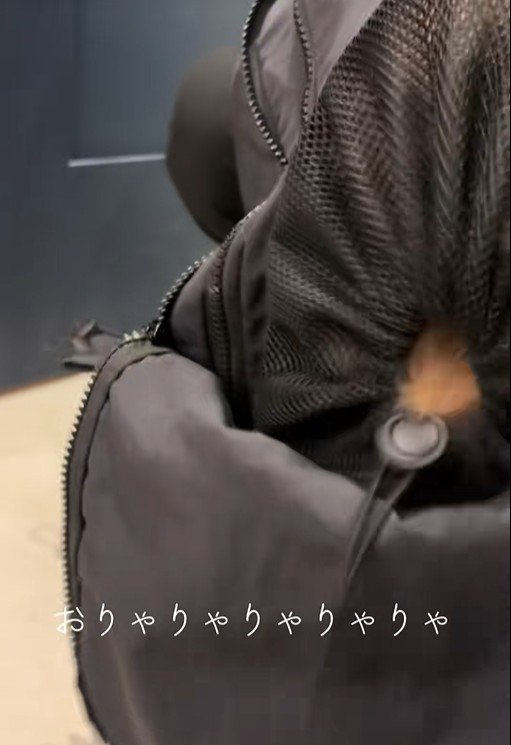 リュックに入るポテトちゃんとウニちゃん5