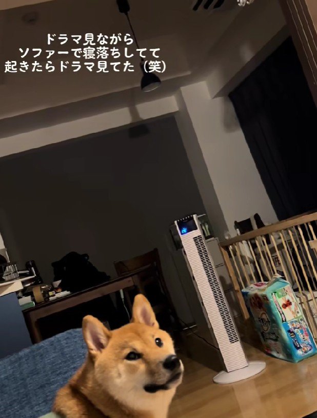 「まったくもう…」