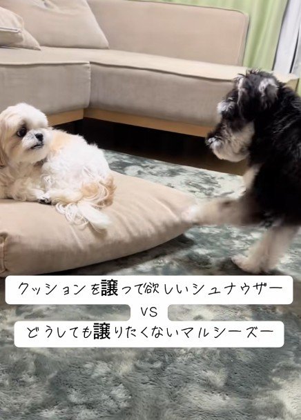 睨み合う両者