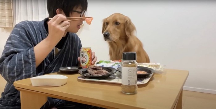 飼い主が持っているサーモンを見つめる犬