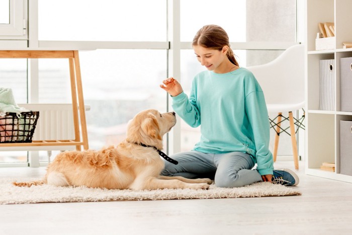 基本動作トレーニングをする少女と子犬