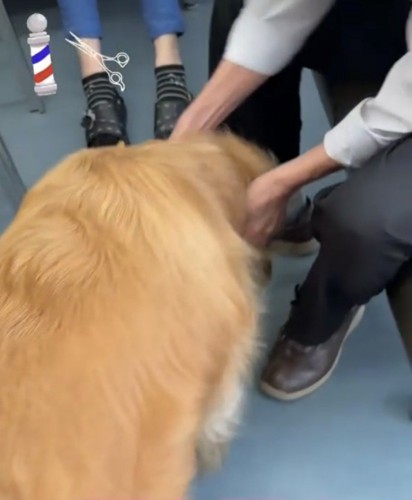 犬を歓迎する床屋さん