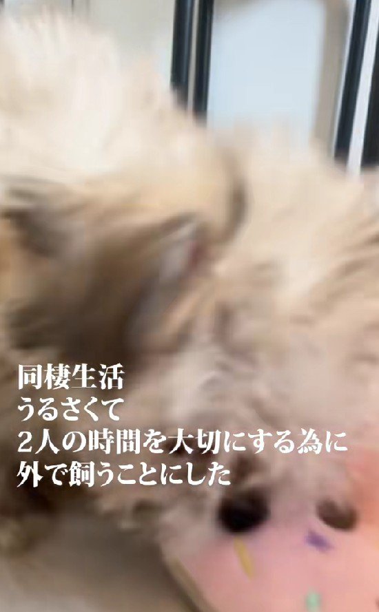 驚くべき決断