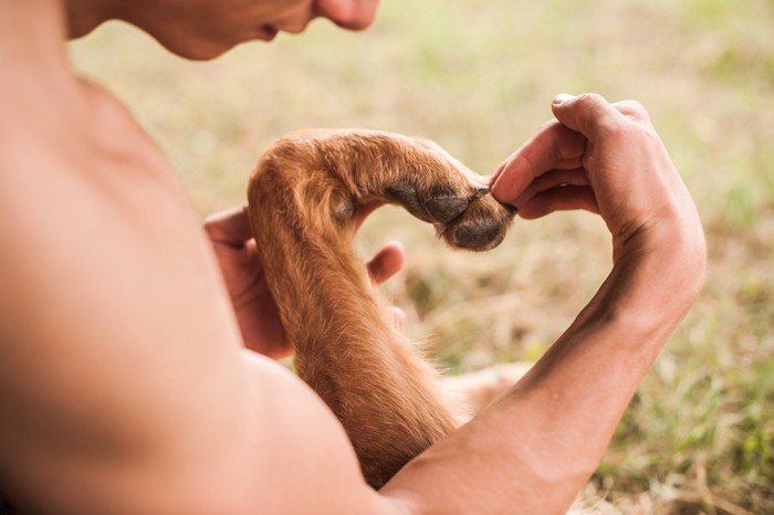 犬の手と人の手