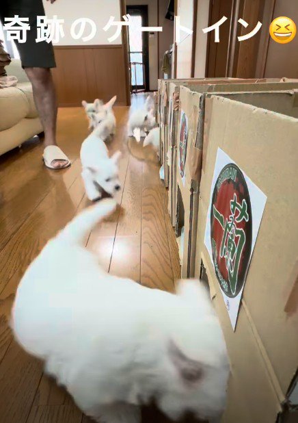 次々と入室する光景にキュン♡