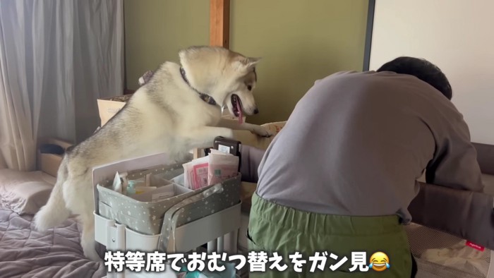 「おむつちゃんと替えられた！？」