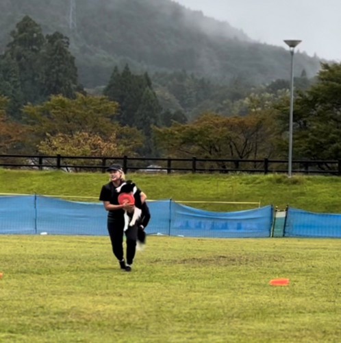 人の腕に抱かれている犬