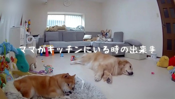 ママがキッチンにいる間に…