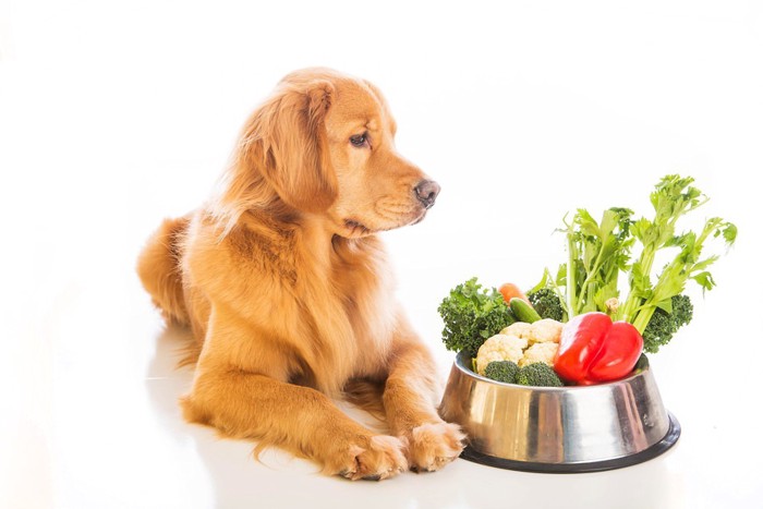 犬と野菜