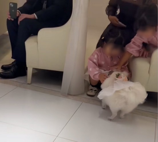 もう一度挨拶に戻る犬
