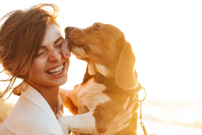 女性の顔を舐めている犬