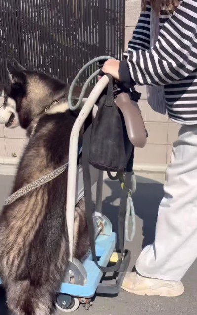 誇らしげな表情