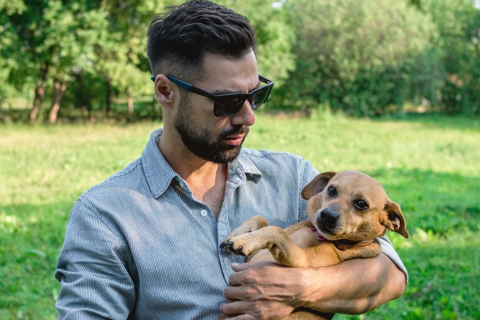 サングラスの男性を嫌がる犬