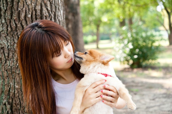 犬と幸せな暮らし