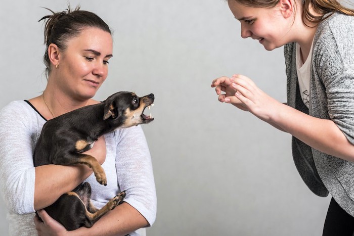 飼い主に抱っこされながら近くの女性に牙をむく犬