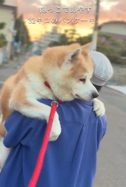 パパに抱っこしてもらう♡