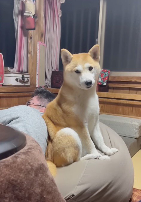 後ろにいる犬に声をかける男性