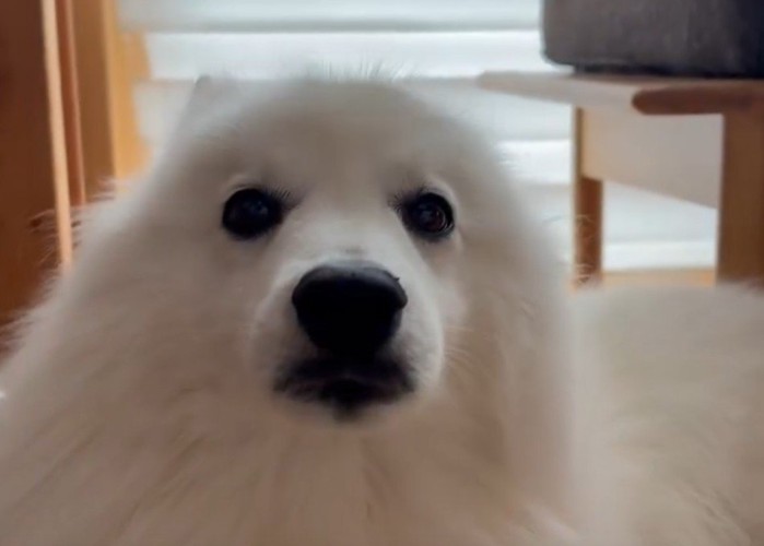 正面から見てみると…