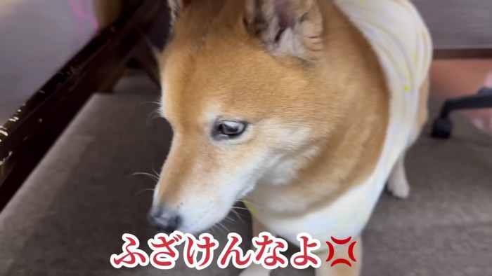 怪訝な表情に