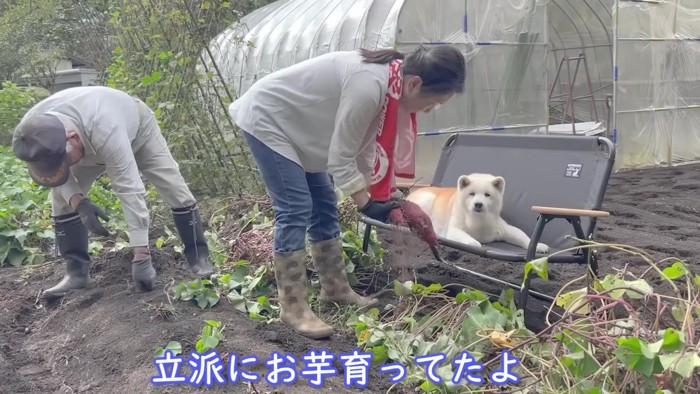 監視員として働いてます♪