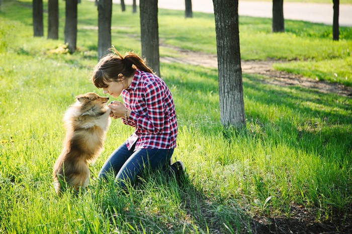 フィラリアに感染する危険性のある犬と人