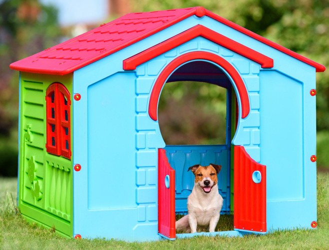 野外の犬小屋の中の犬