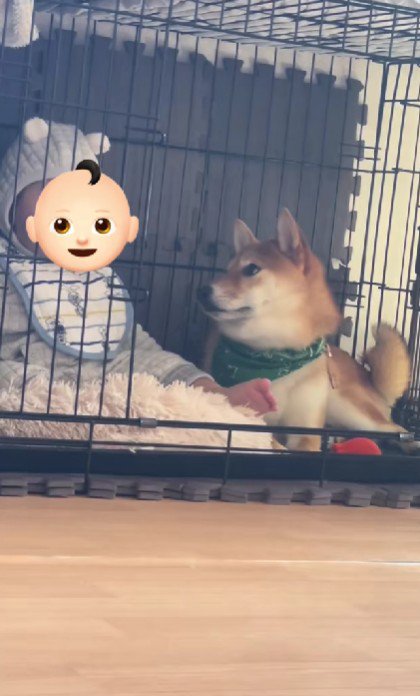 仲睦まじい2人でした！