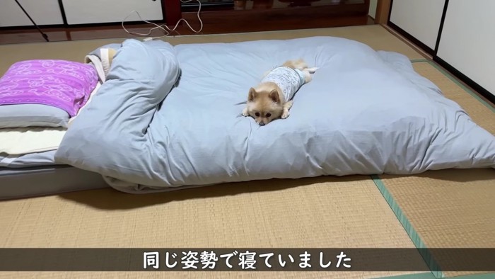 さっきと同じ...!