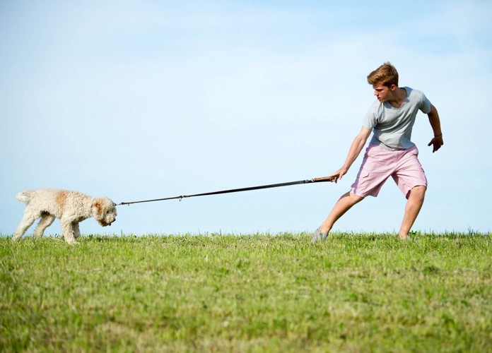 踏ん張る犬と引っ張る男の子