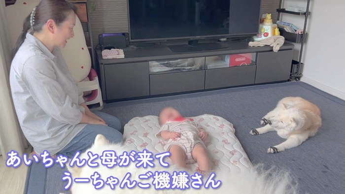 終始ニコニコの赤ちゃん