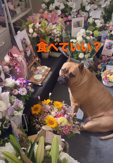 「いいと思う?」