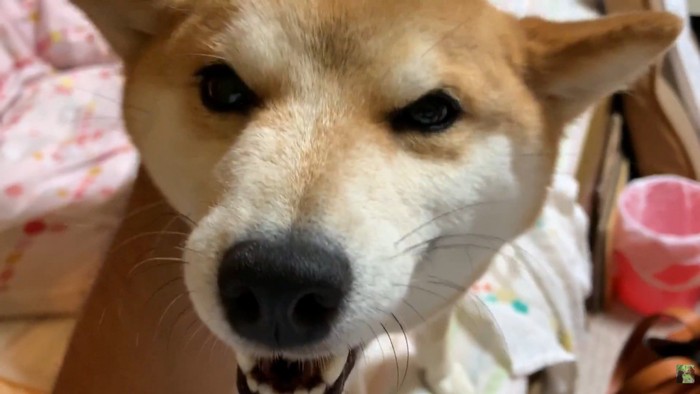 「気付かなくてごめんね！許して♡」