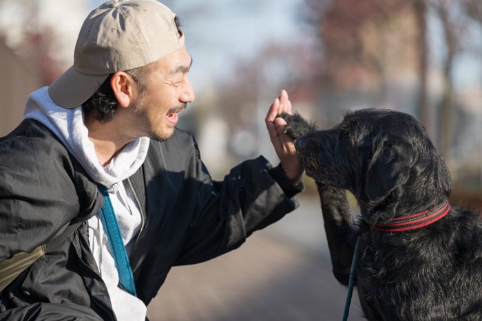 愛犬とハイタッチ
